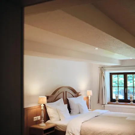 Hotel Boutique Muehle 4*