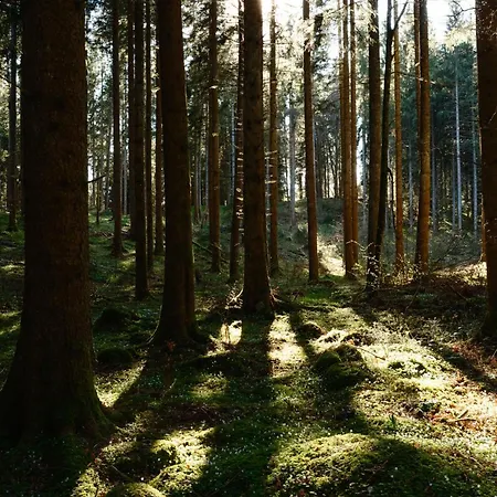 فندق Boutique Muehle